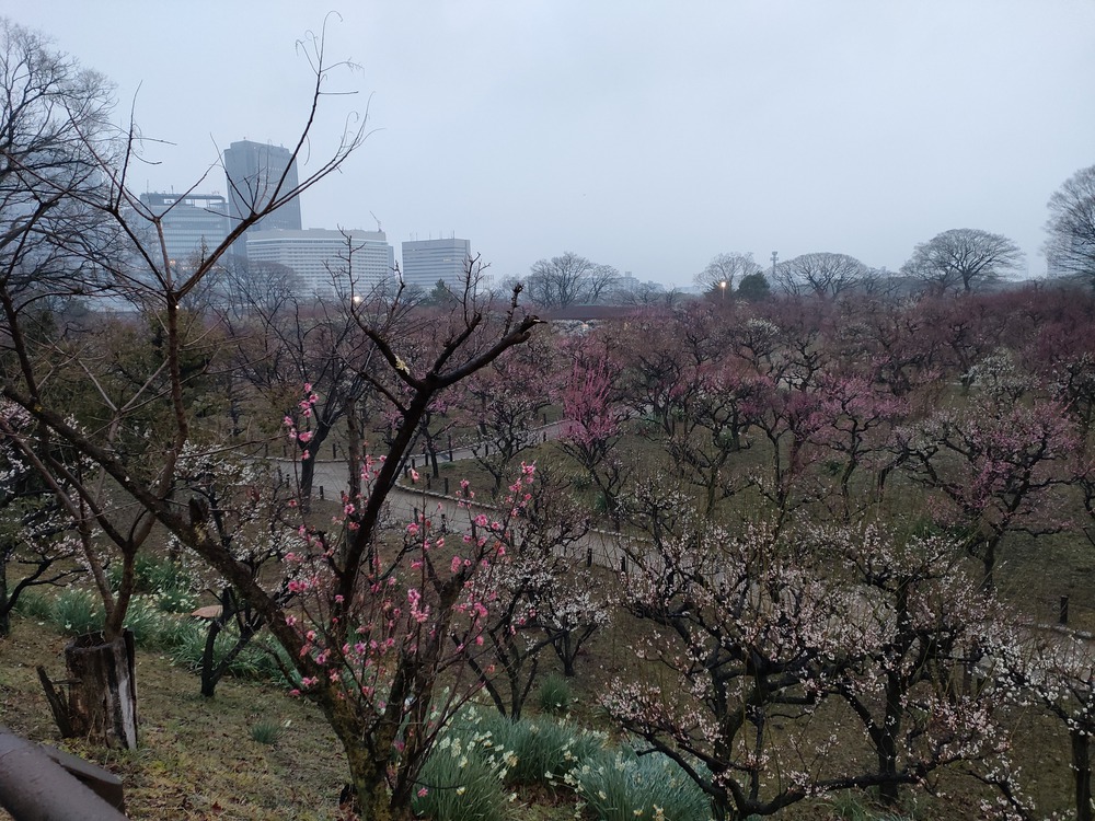 心斎橋を中心に川の中心をぐるりと一周ランの写真7