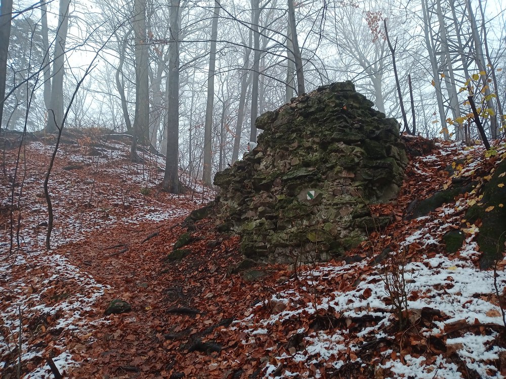 チェコ　ロジュノフ　遺跡を回るコースの写真5