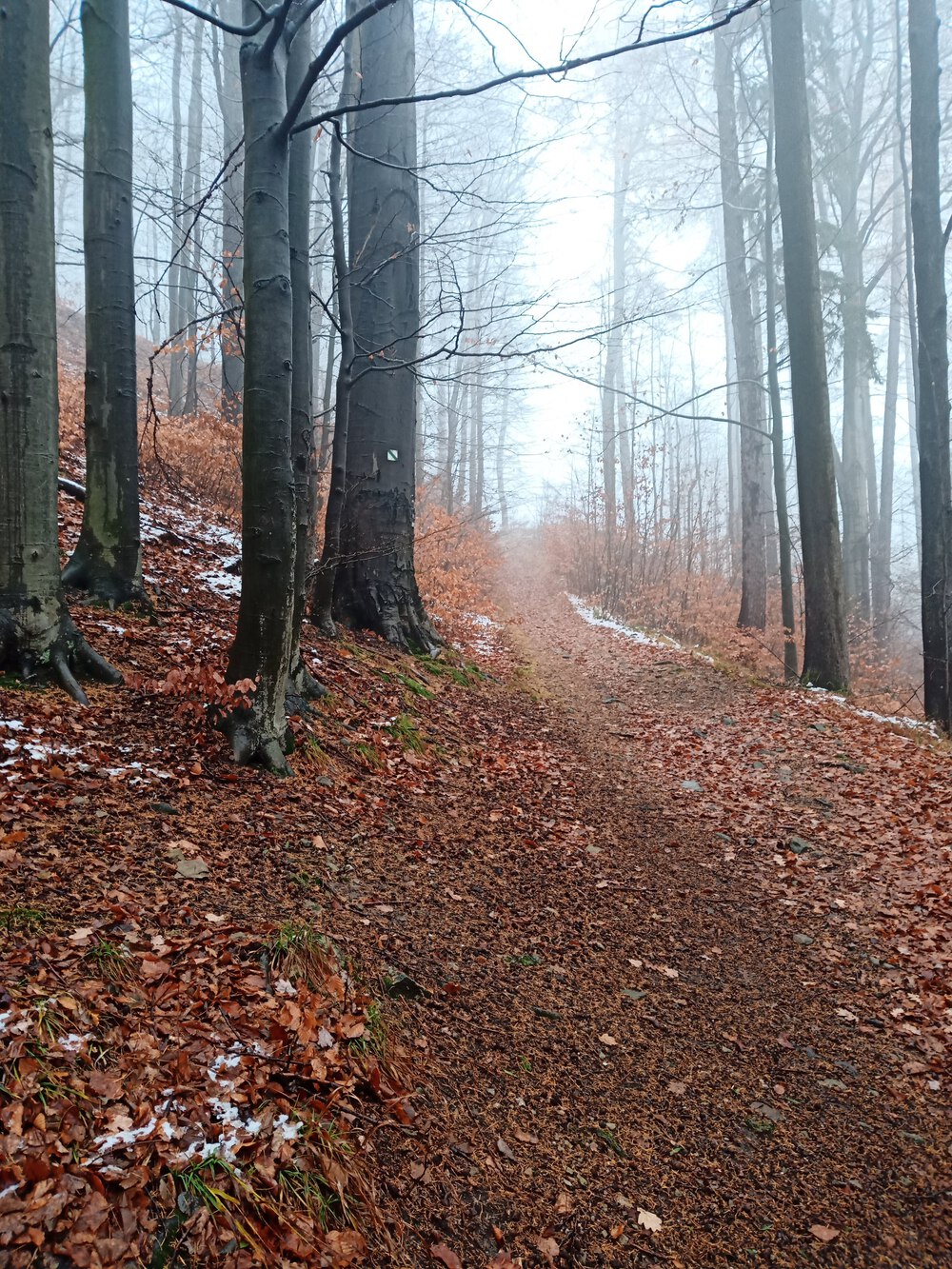 チェコ　ロジュノフ　遺跡を回るコースの写真9