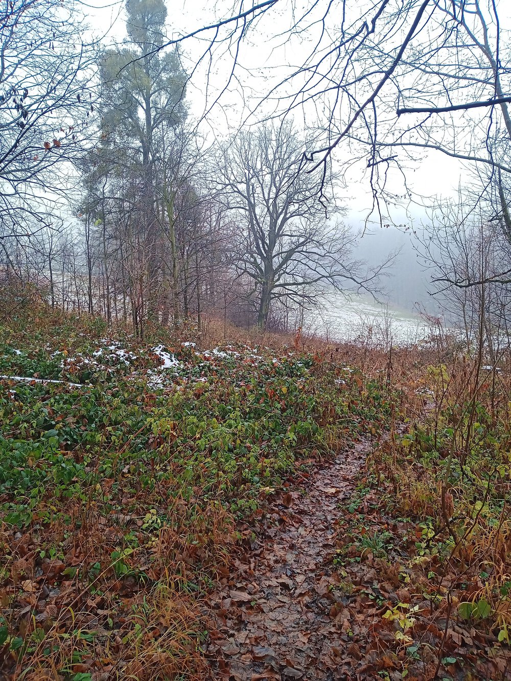 チェコ　ロジュノフ　遺跡を回るコースの写真10