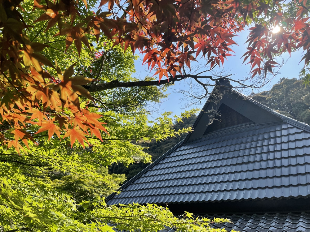 摂津渓からの寺巡りと坂&坂の写真4