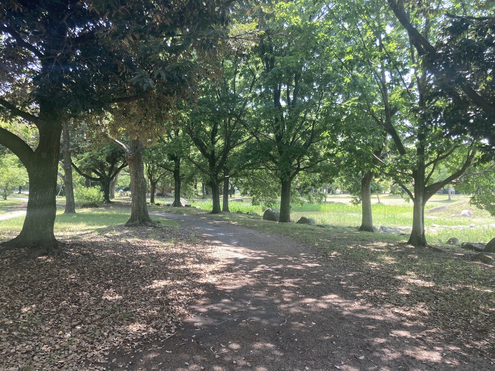 【河畔公園】多布施川沿いの木陰コースの写真4