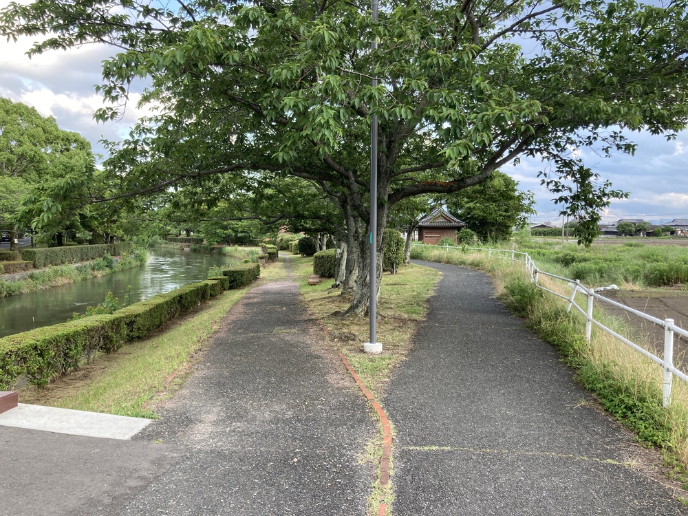 【河畔公園】多布施川沿いの木陰コースの写真6