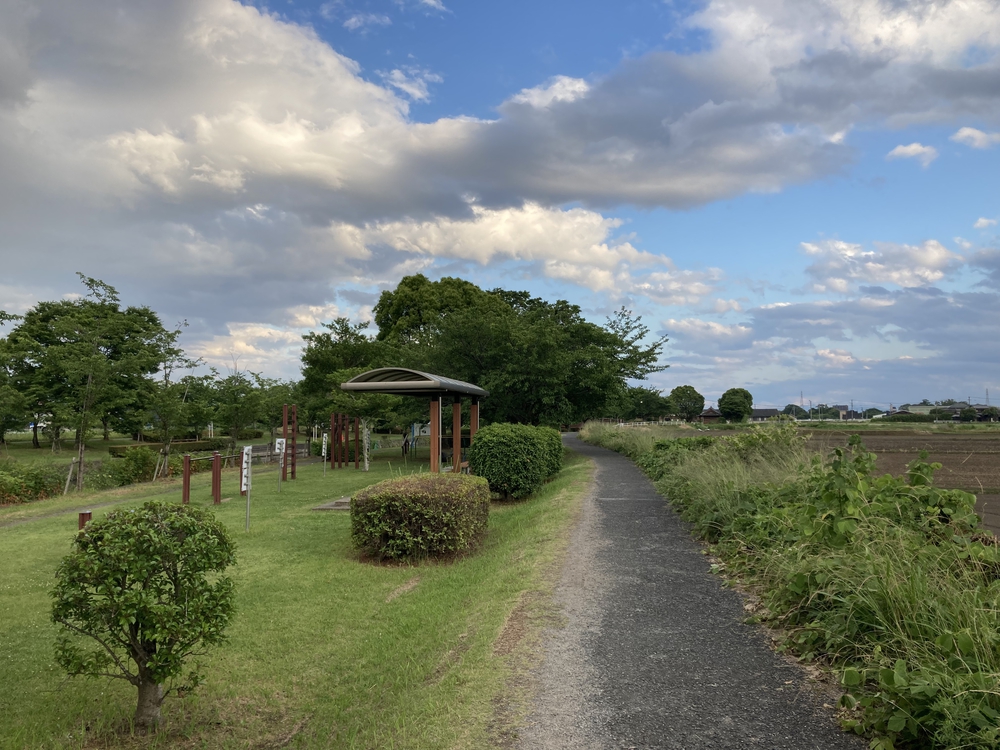 【河畔公園】多布施川沿いの木陰コースの写真7
