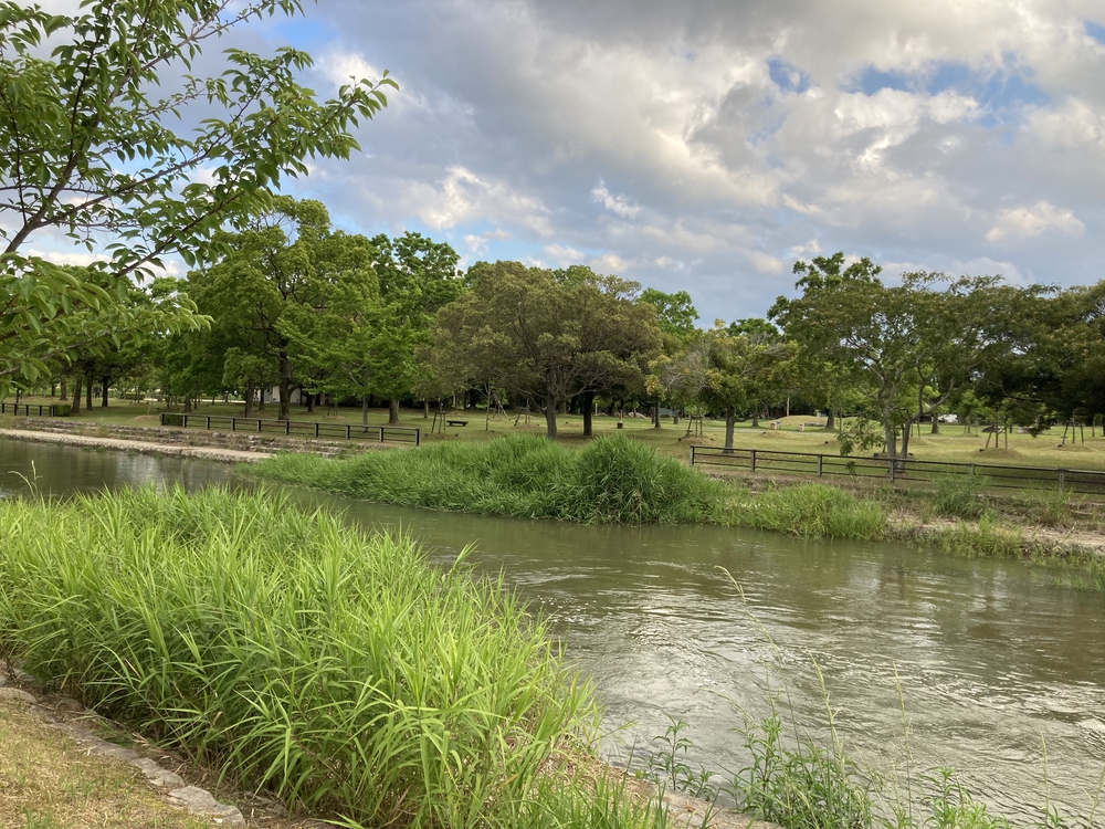 【河畔公園】多布施川沿いの木陰コースの写真11