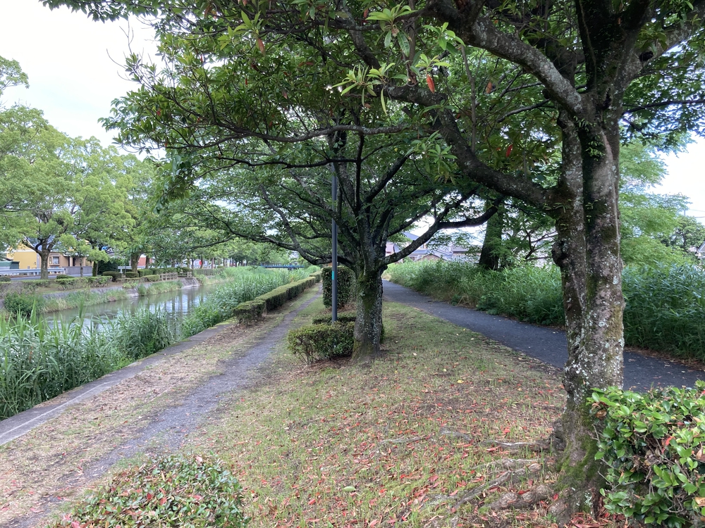 【河畔公園】多布施川沿いの木陰コースの写真13
