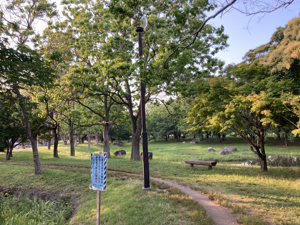 【河畔公園】多布施川沿いの木陰コースの写真14