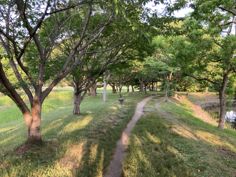 【河畔公園】多布施川沿いの木陰コースの写真17