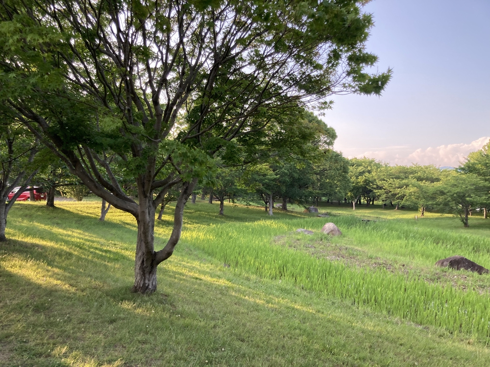 【河畔公園】多布施川沿いの木陰コースの写真18