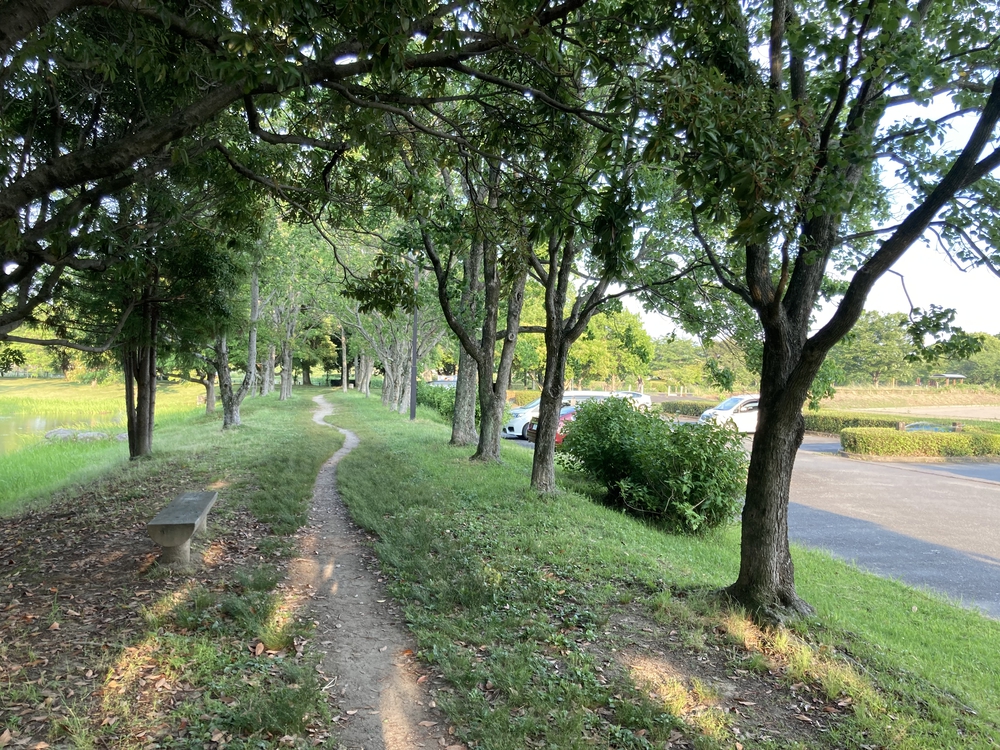 【河畔公園】多布施川沿いの木陰コースの写真19