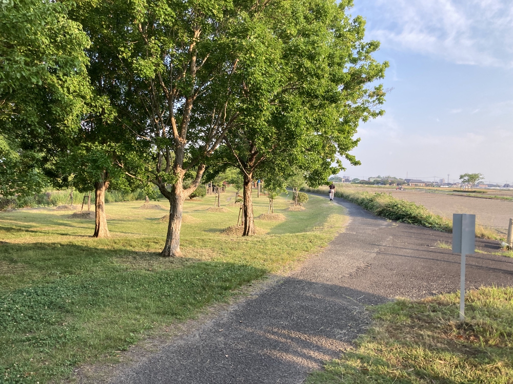 【河畔公園】多布施川沿いの木陰コースの写真21