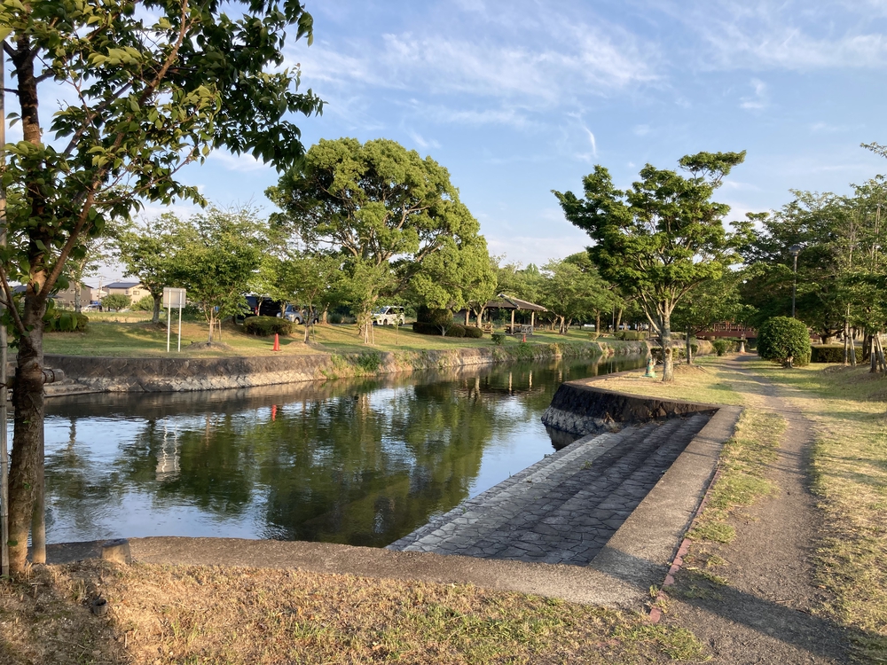 【河畔公園】多布施川沿いの木陰コースの写真23