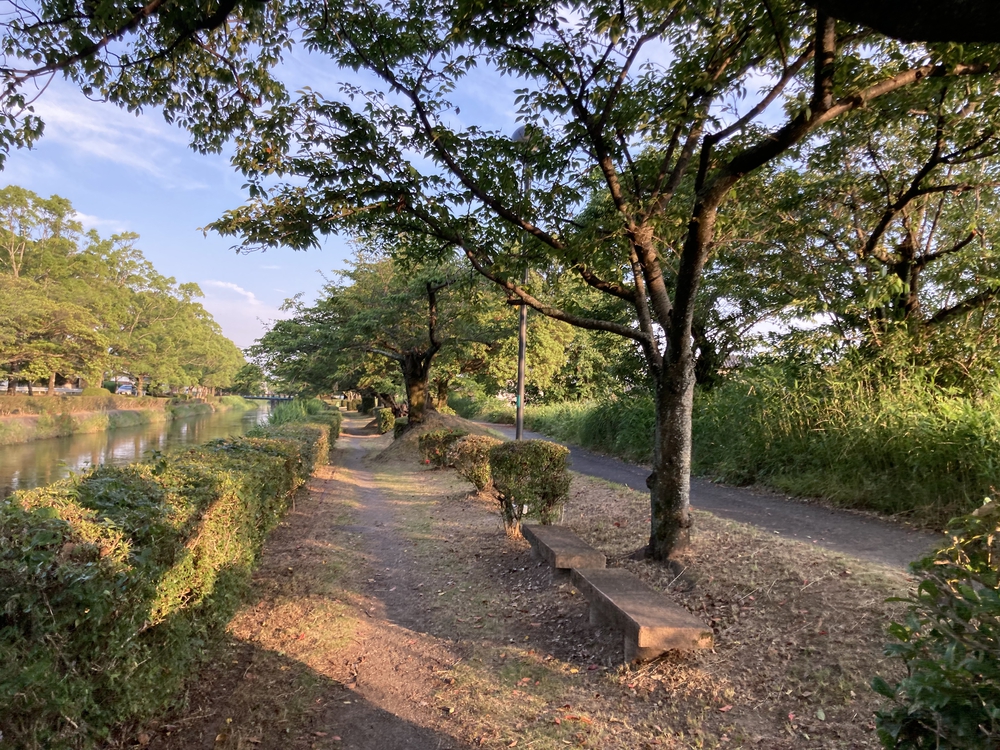 【河畔公園】多布施川沿いの木陰コースの写真24