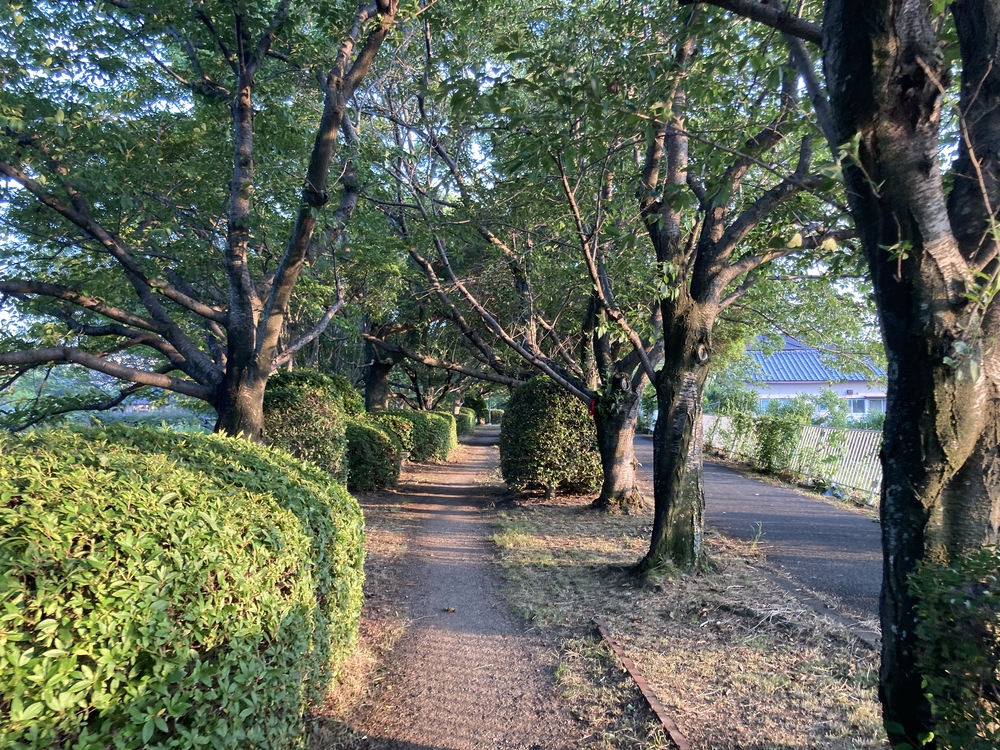 【河畔公園】多布施川沿いの木陰コースの写真26