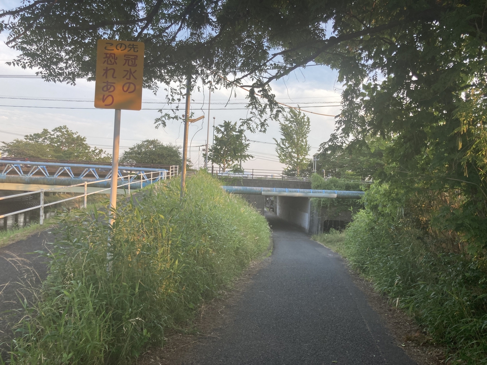 【河畔公園】多布施川沿いの木陰コースの写真27