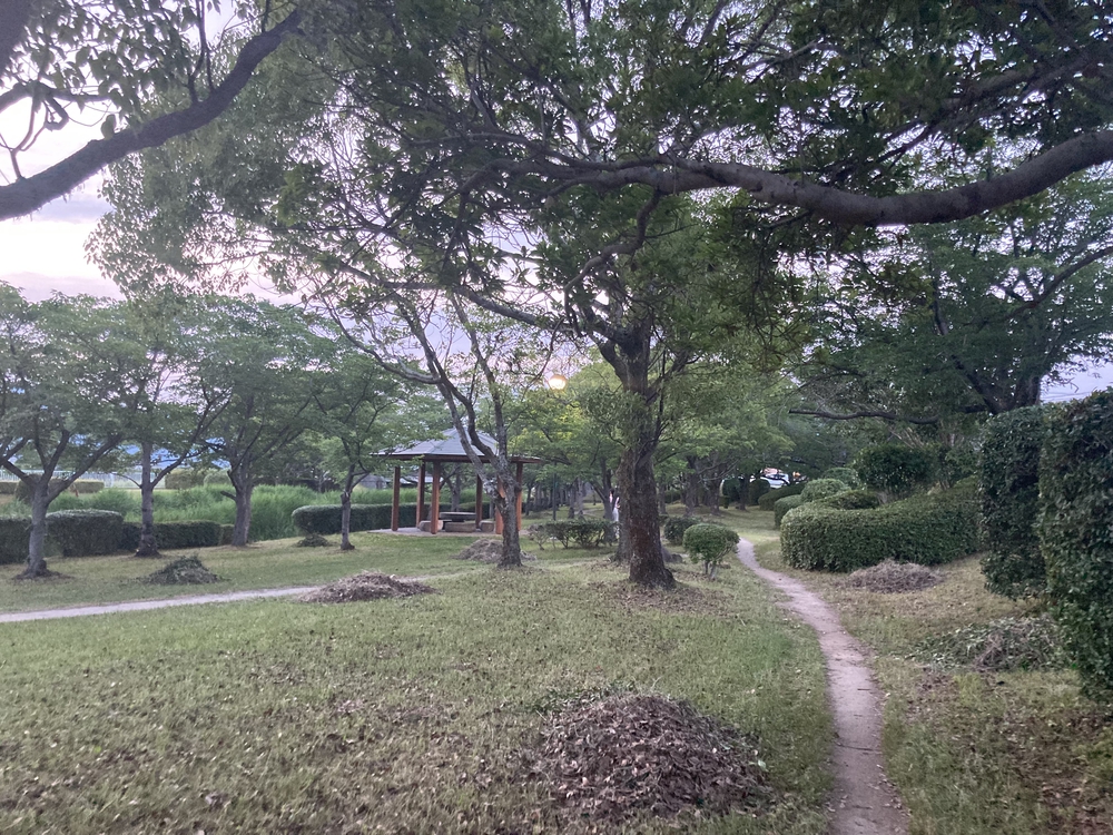 【河畔公園】多布施川沿いの木陰コースの写真31