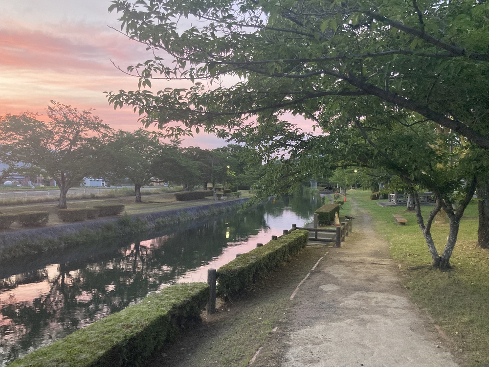 【河畔公園】多布施川沿いの木陰コースの写真33