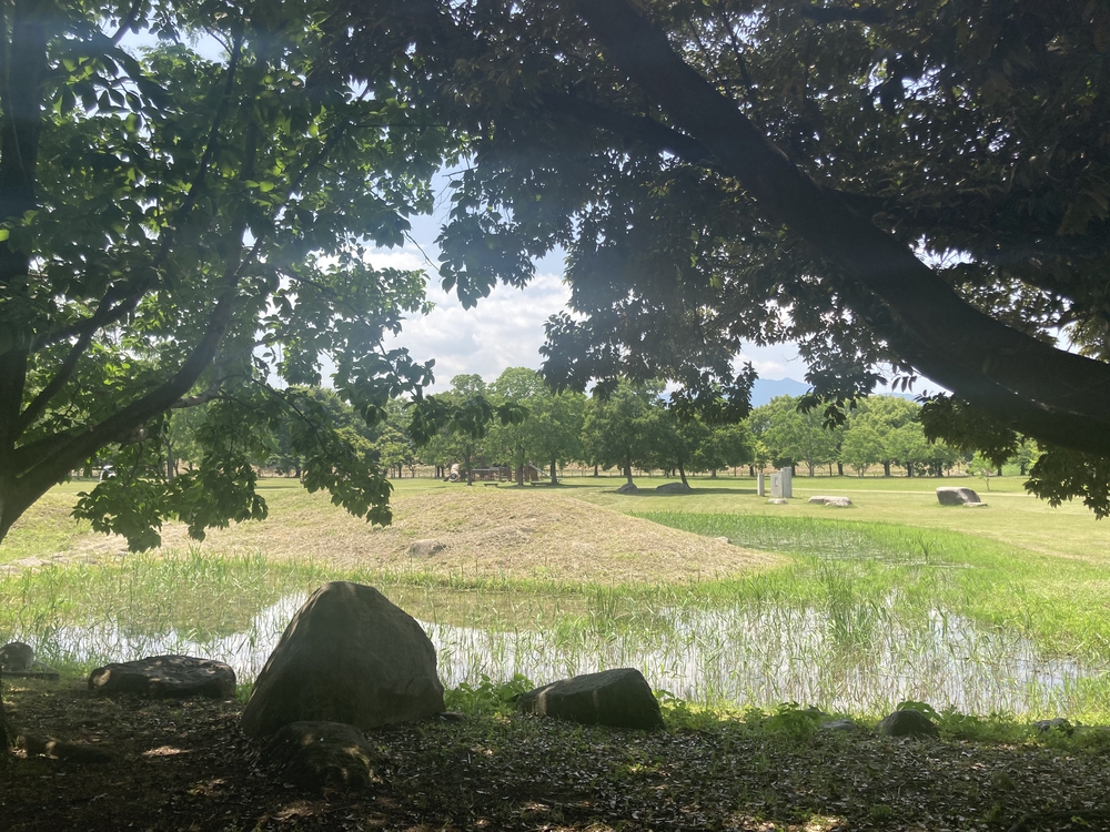 【河畔公園】多布施川沿いの木陰コースの写真34