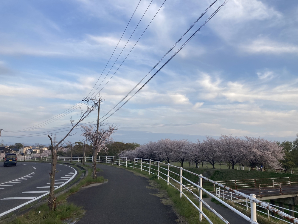 【河畔公園】多布施川沿いの木陰コースの写真39