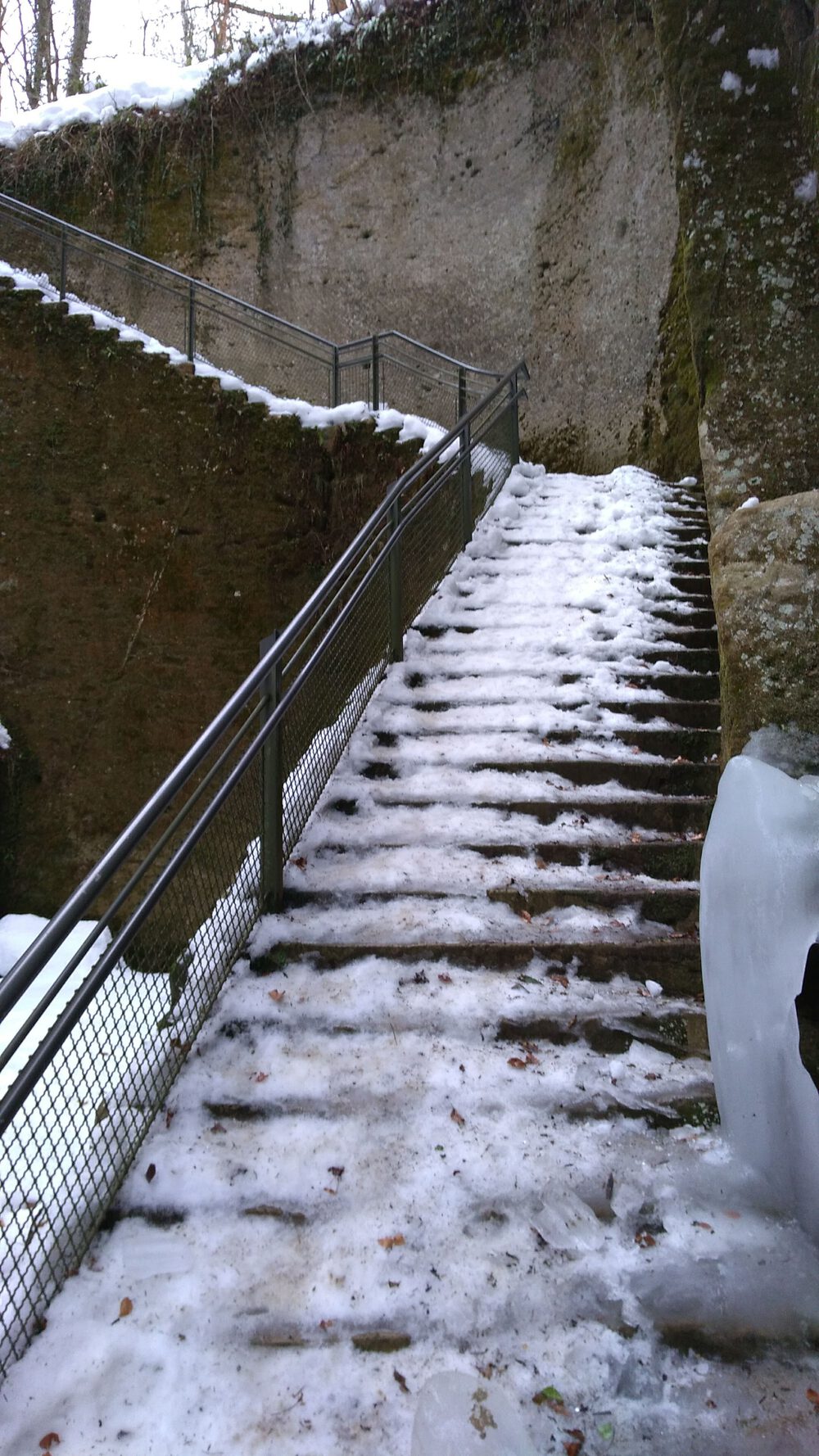 ザルツブルク　ヘルブルン動物園、宮殿を回るコースの写真6