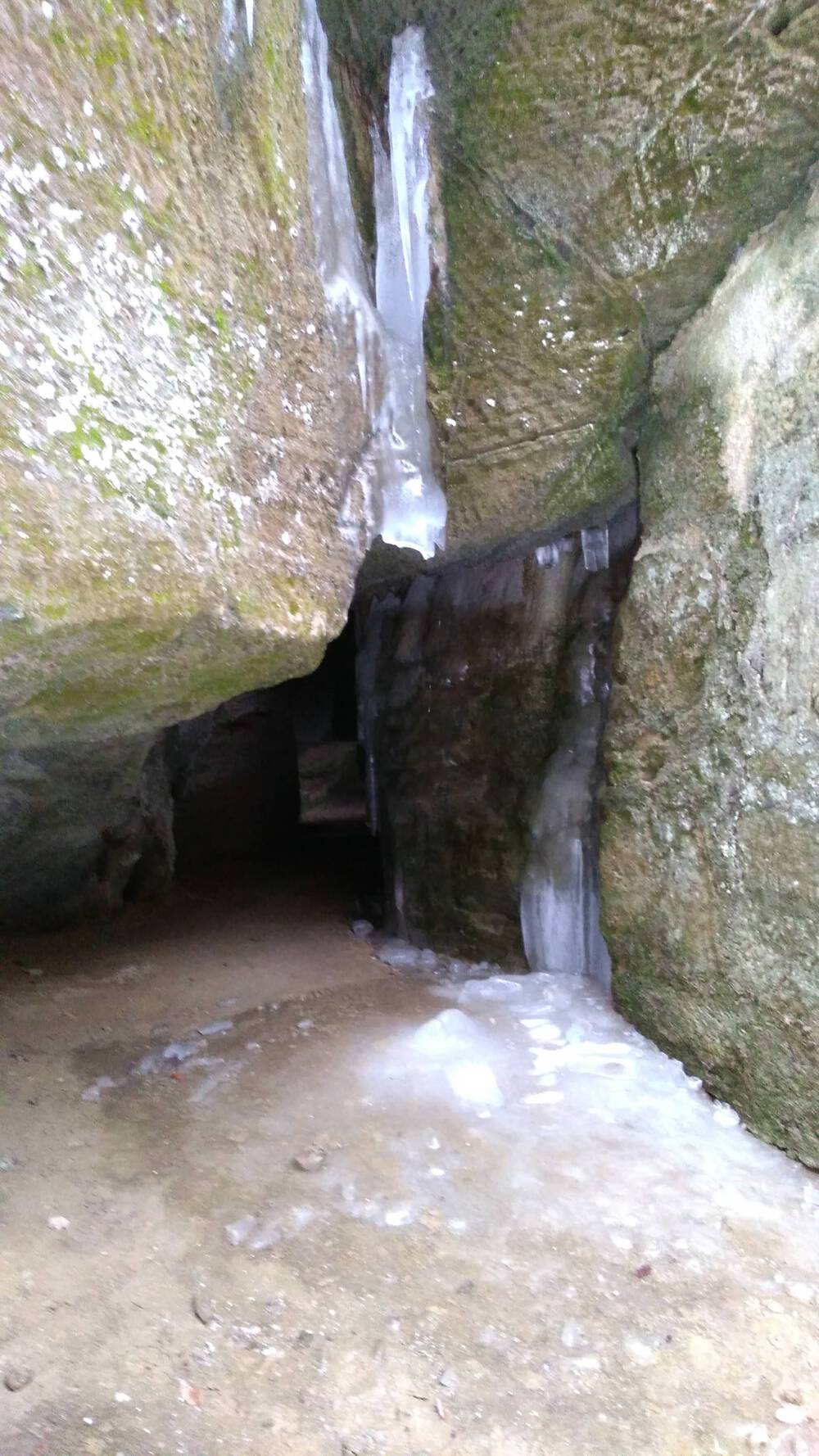 ザルツブルク　ヘルブルン動物園、宮殿を回るコースの写真7