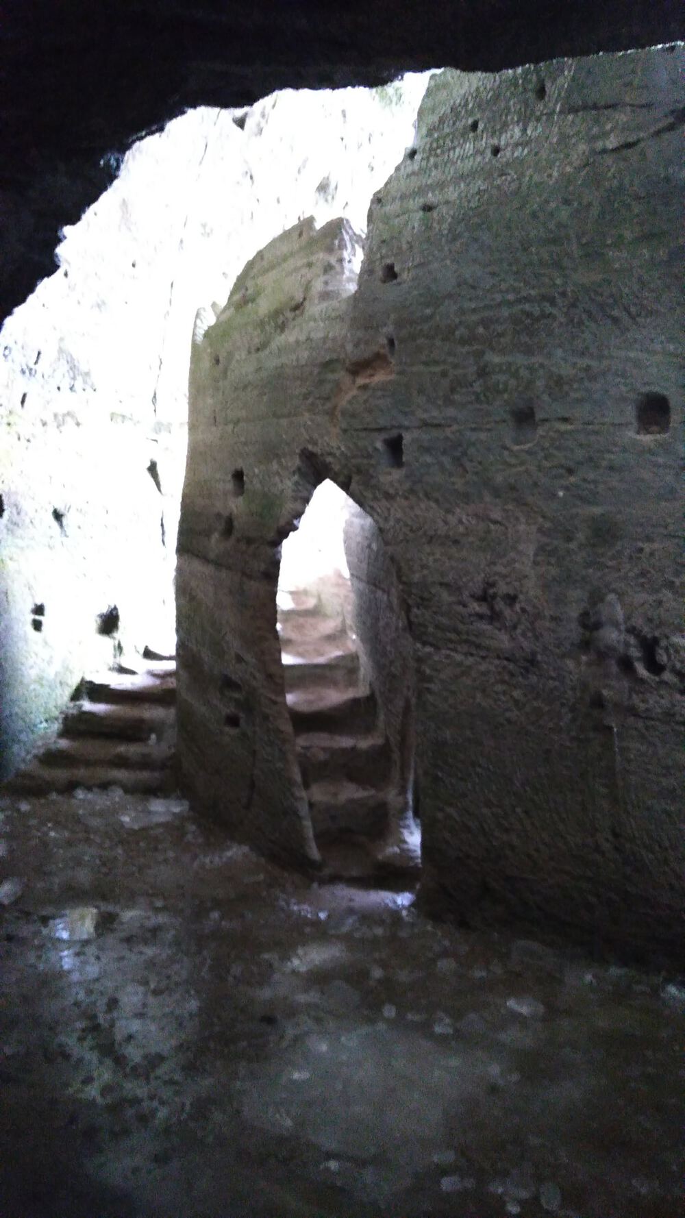 ザルツブルク　ヘルブルン動物園、宮殿を回るコースの写真8