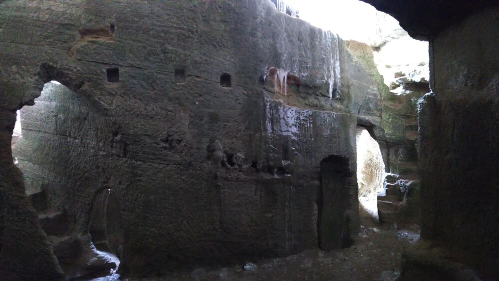 ザルツブルク　ヘルブルン動物園、宮殿を回るコースの写真9