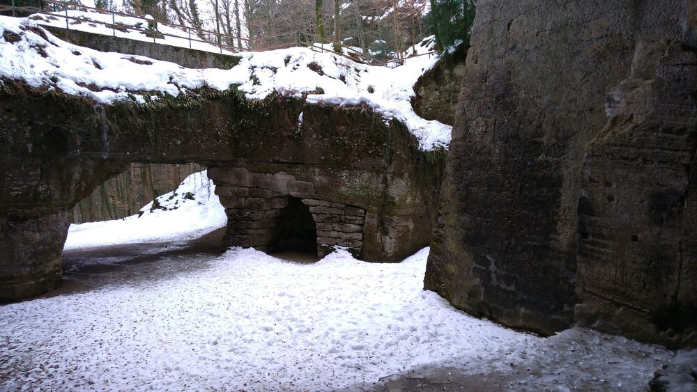 ザルツブルク　ヘルブルン動物園、宮殿を回るコースの写真10