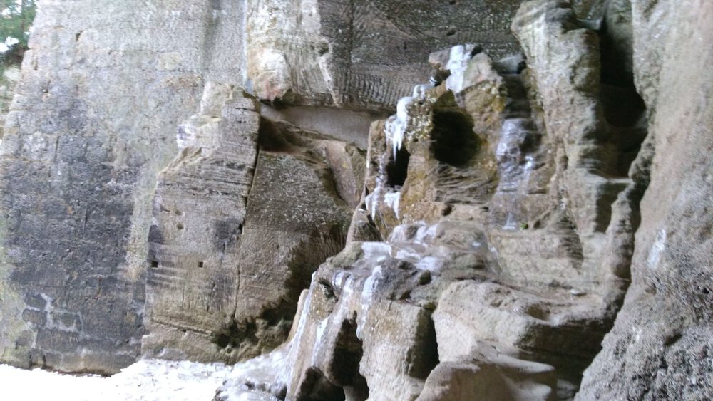 ザルツブルク　ヘルブルン動物園、宮殿を回るコースの写真11