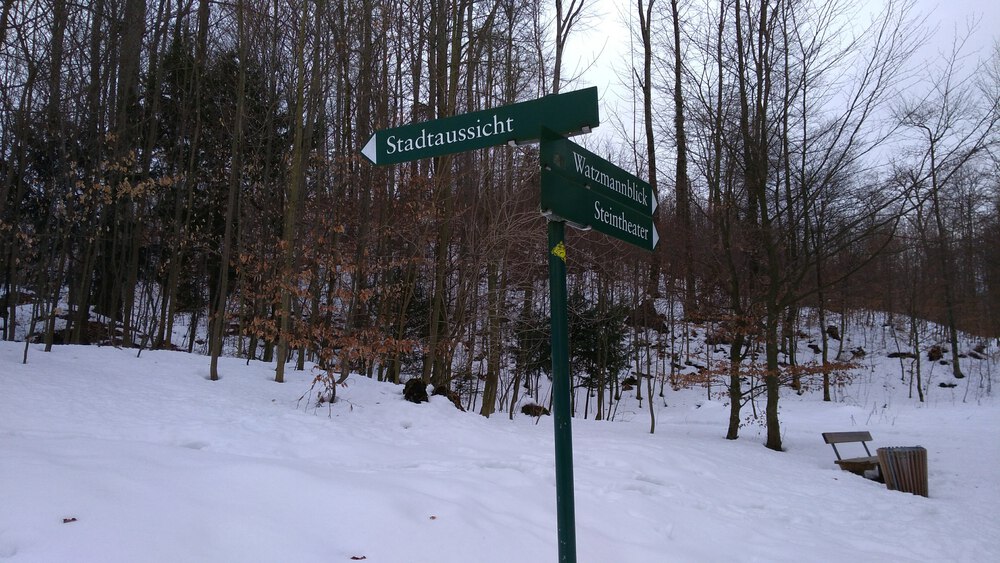 ザルツブルク　ヘルブルン動物園、宮殿を回るコースの写真15