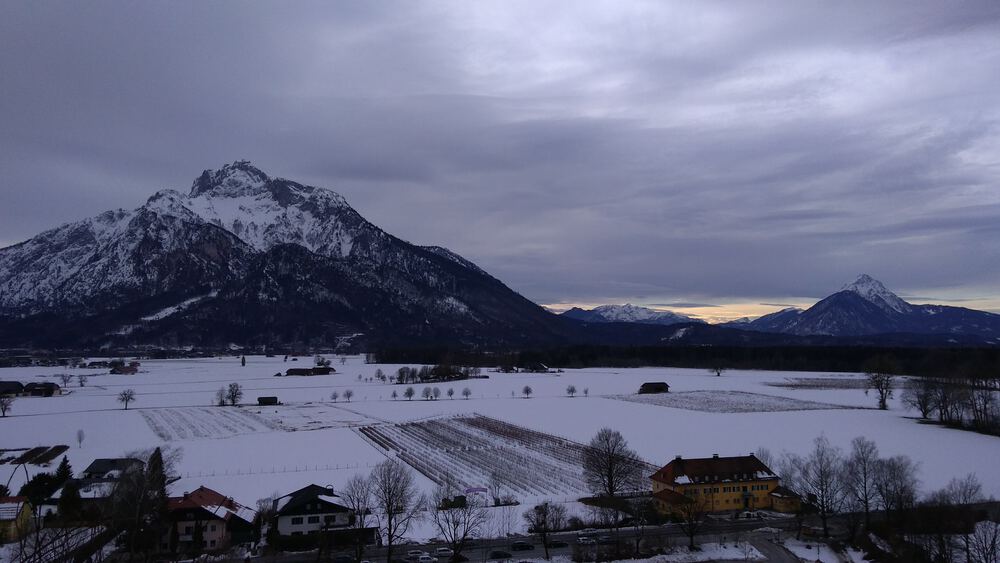ザルツブルク　ヘルブルン動物園、宮殿を回るコースの写真19