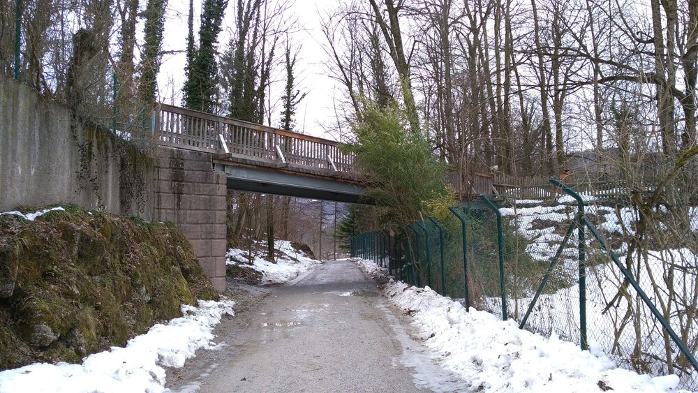 ザルツブルク　ヘルブルン動物園、宮殿を回るコースの写真21