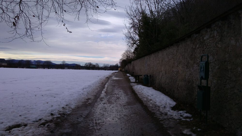 ザルツブルク　ヘルブルン動物園、宮殿を回るコースの写真23