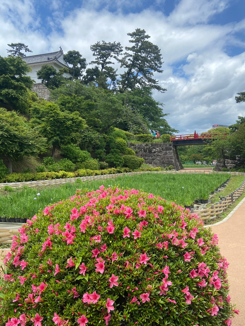 石垣山一夜城〜小田原マラニック❗️の写真3