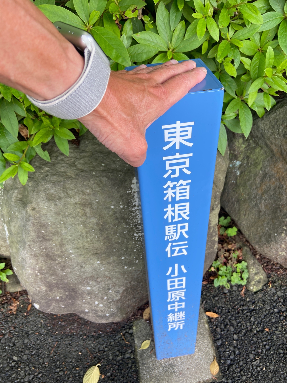 石垣山一夜城〜小田原マラニック❗️の写真5