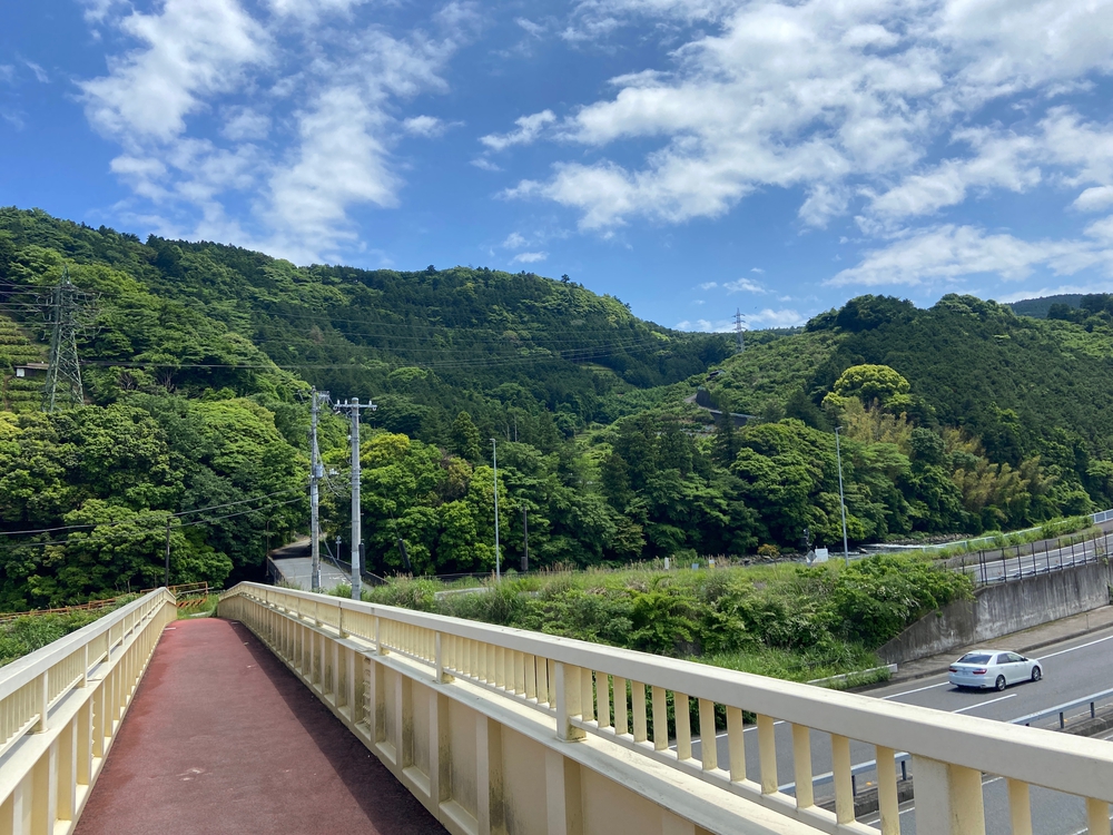 石垣山一夜城〜小田原マラニック❗️の写真6