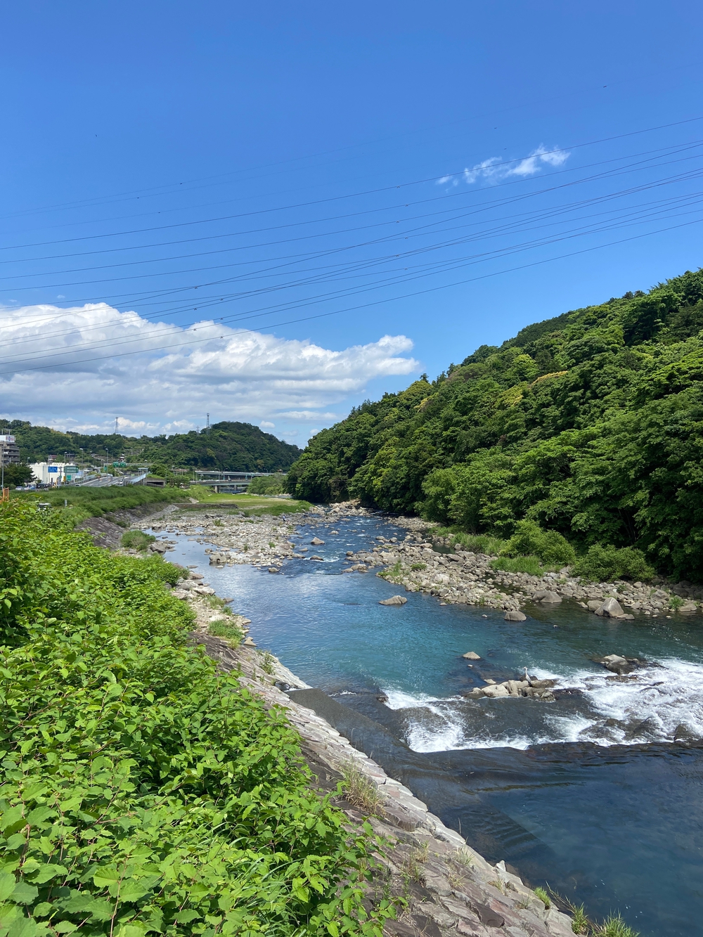 石垣山一夜城〜小田原マラニック❗️の写真7