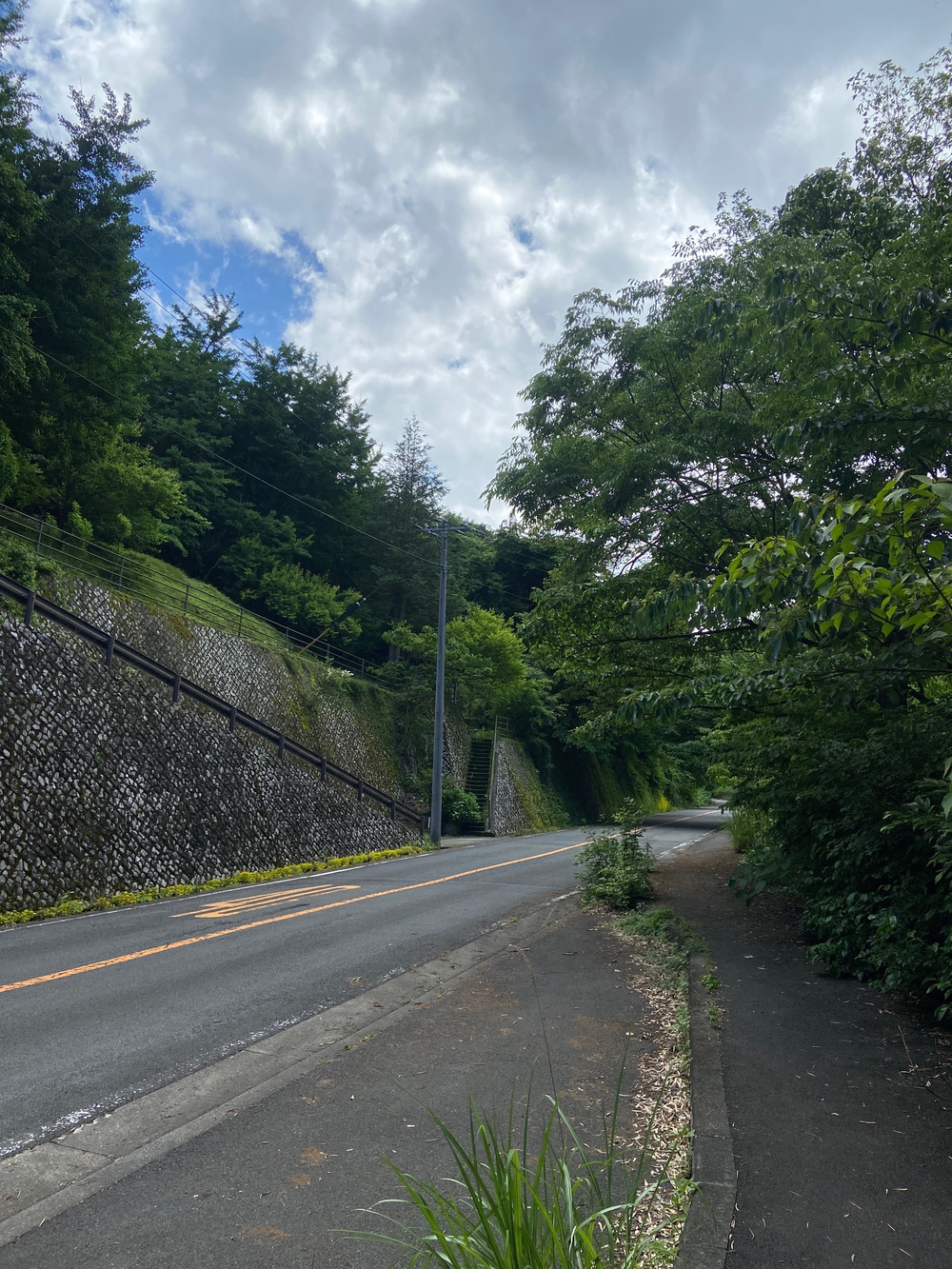 石垣山一夜城〜小田原マラニック❗️の写真8