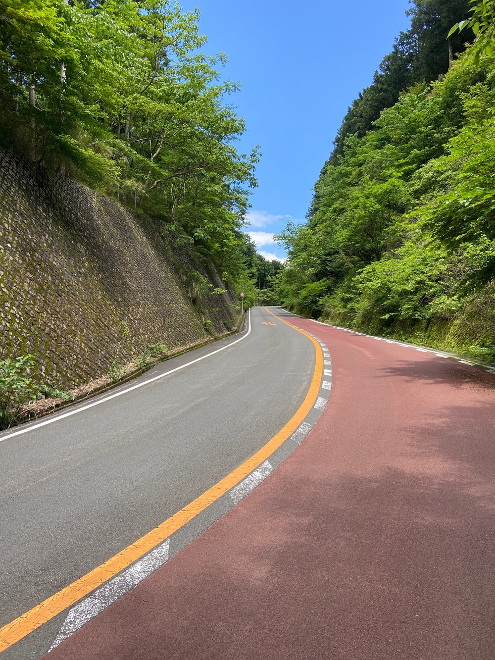 石垣山一夜城〜小田原マラニック❗️の写真9