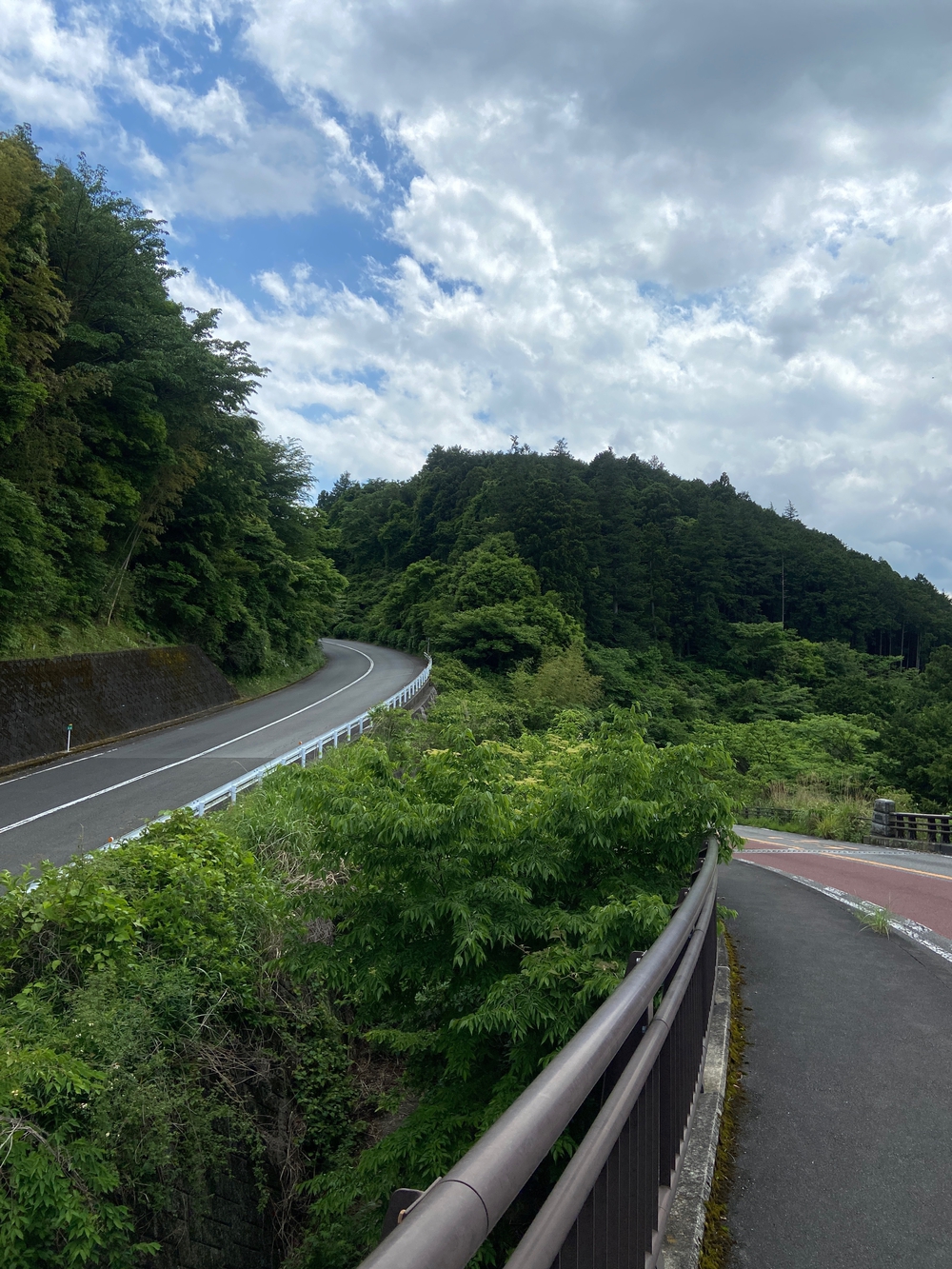 石垣山一夜城〜小田原マラニック❗️の写真10