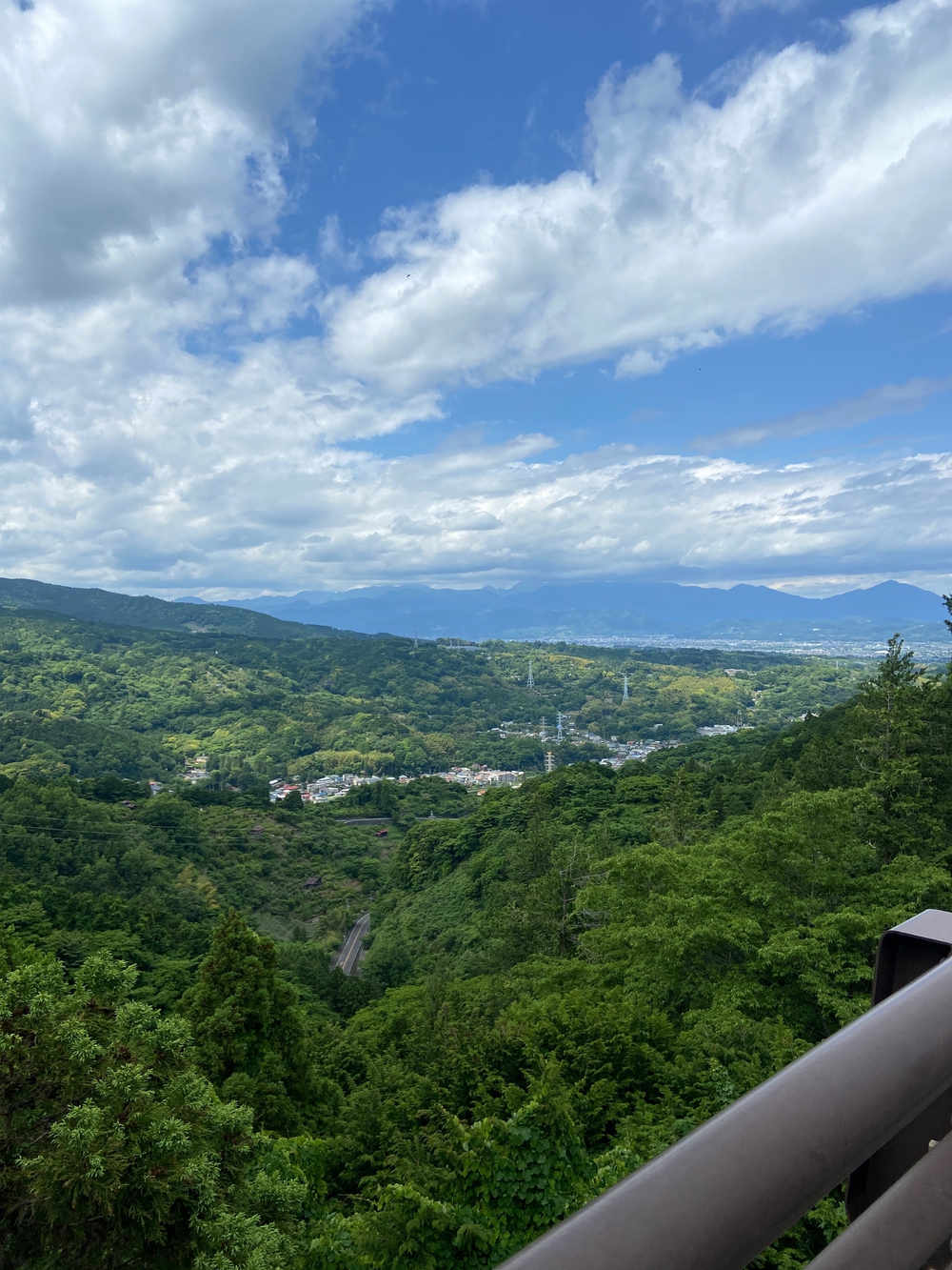 石垣山一夜城〜小田原マラニック❗️の写真11
