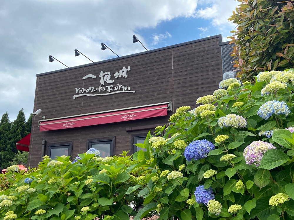 石垣山一夜城〜小田原マラニック❗️の写真20