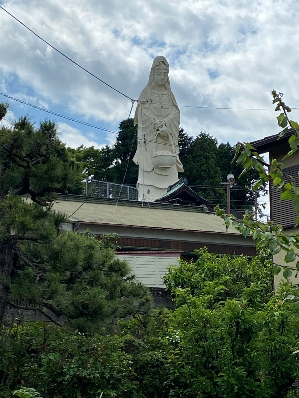 石垣山一夜城〜小田原マラニック❗️の写真21