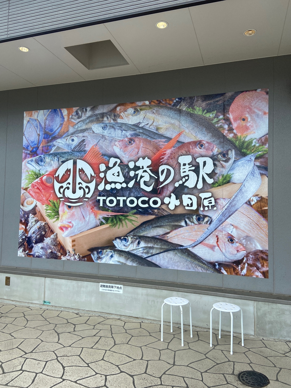 石垣山一夜城〜小田原マラニック❗️の写真22