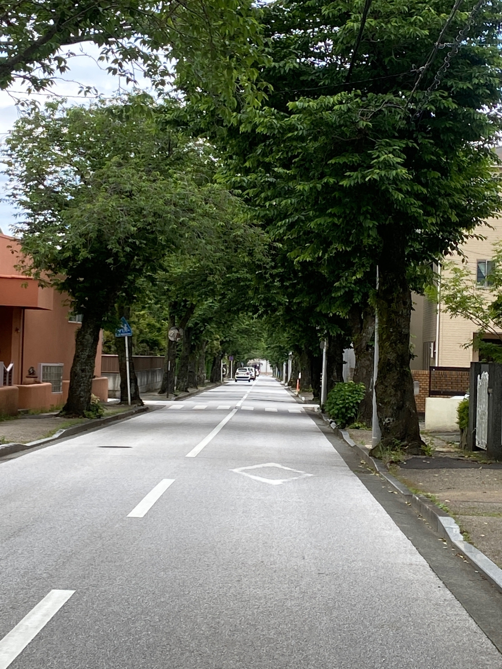 石垣山一夜城〜小田原マラニック❗️の写真27