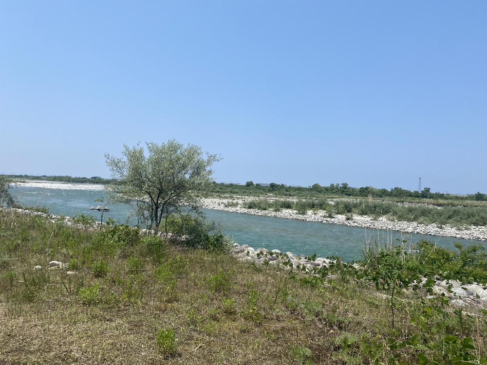 黒部名水マラソン2022の写真6