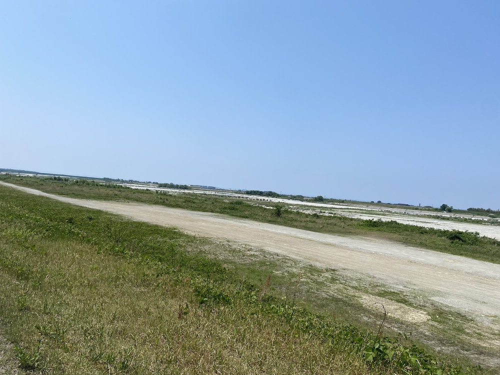 黒部名水マラソン2022の写真7