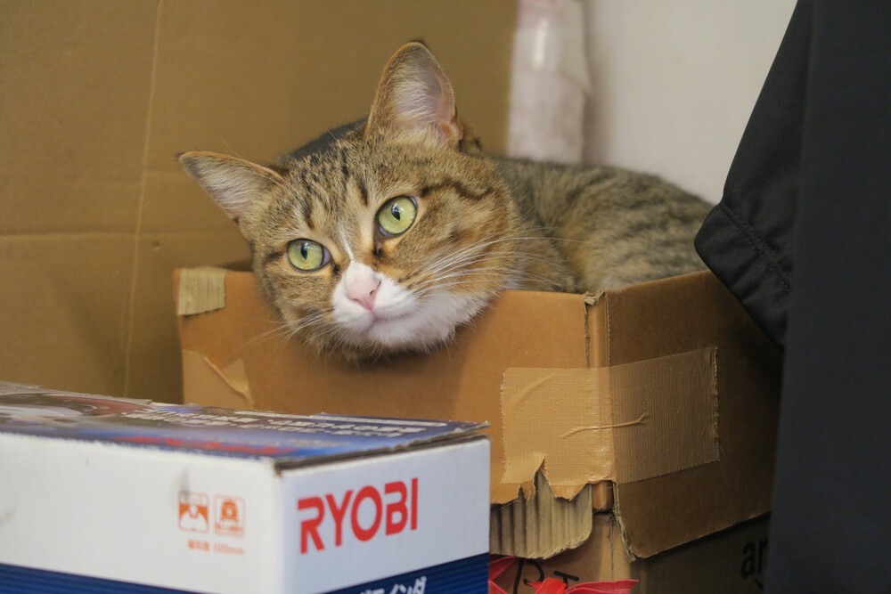 三浦半島で外国気分ラン（みちくさマラソンの一部）の写真8