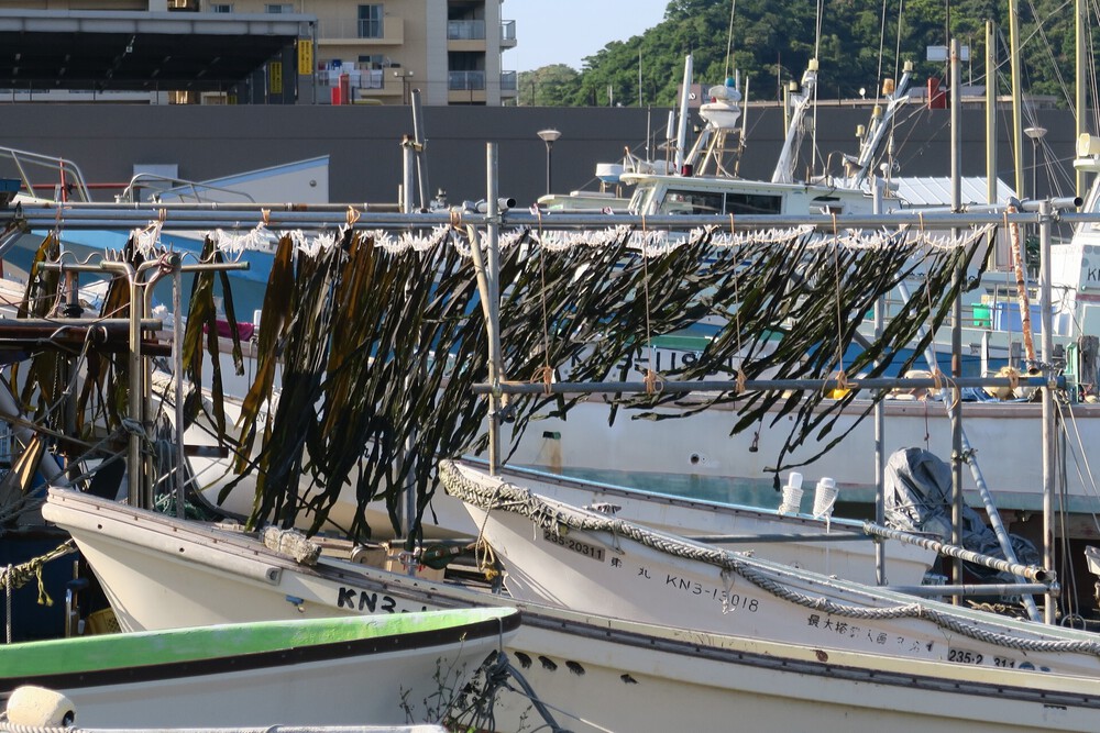 三浦半島で外国気分ラン（みちくさマラソンの一部）の写真10