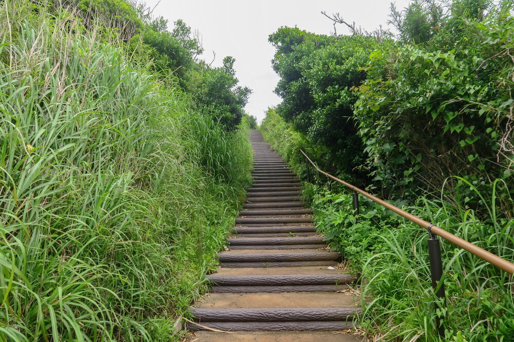 城ヶ島ねこまっしぐランの写真3